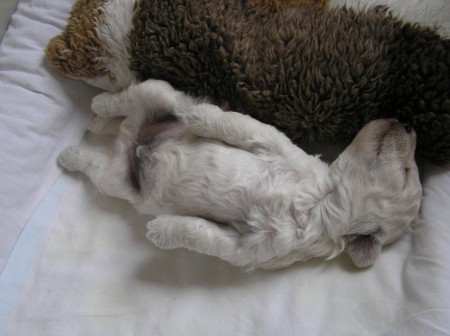 17. den: Moje nejoblíbenější poloha.